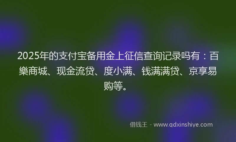 2025年的支付宝备用金上征信查询记录吗有：百樂商城、现金流贷、度小满、钱满满贷、京享易购等。