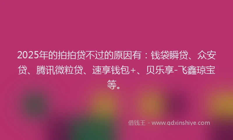2025年的拍拍贷不过的原因有：钱袋瞬贷、众安贷、腾讯微粒贷、速享钱包+、贝乐享-飞鑫琼宝等。