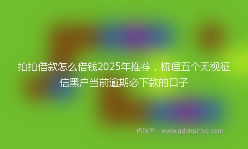 拍拍借款怎么借钱2025年推荐，梳理五个无视征信黑户当前逾期必下款的口子