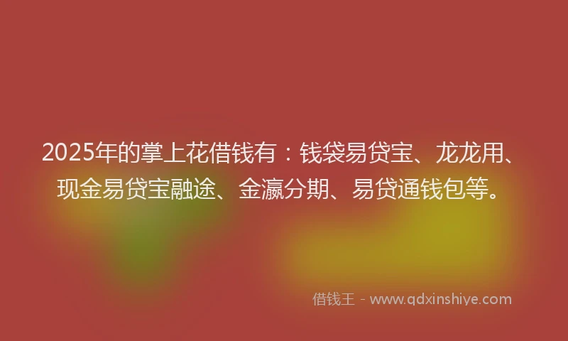 2025年的掌上花借钱有：钱袋易贷宝、龙龙用、现金易贷宝融途、金瀛分期、易贷通钱包等。