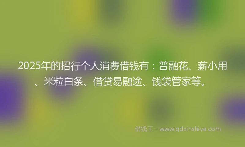 2025年的招行个人消费借钱有：普融花、薪小用、米粒白条、借贷易融途、钱袋管家等。