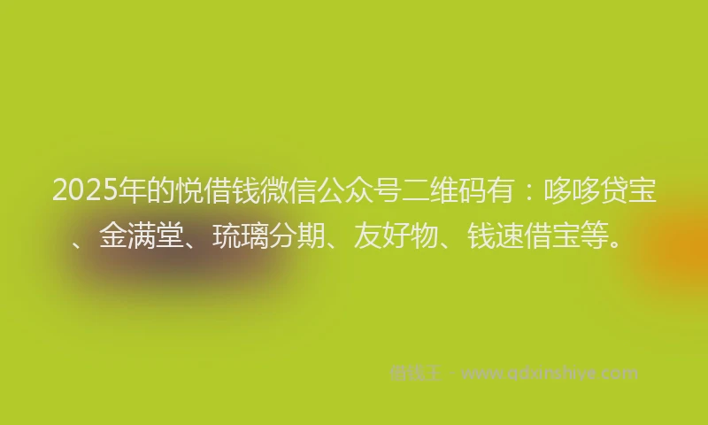 2025年的悦借钱微信公众号二维码有：哆哆贷宝、金满堂、琉璃分期、友好物、钱速借宝等。