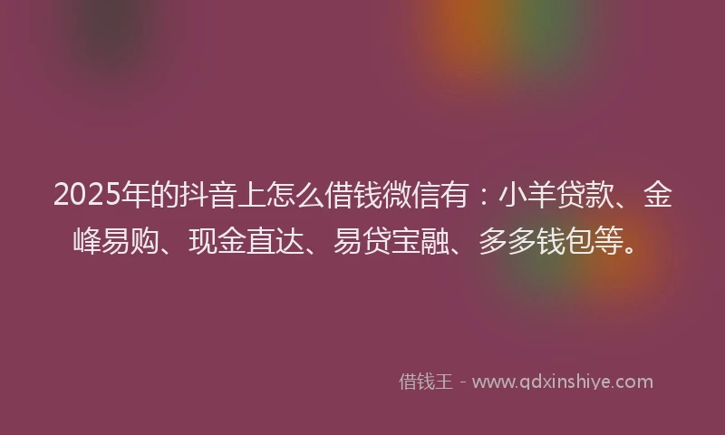 2025年的抖音上怎么借钱微信有：小羊贷款、金峰易购、现金直达、易贷宝融、多多钱包等。