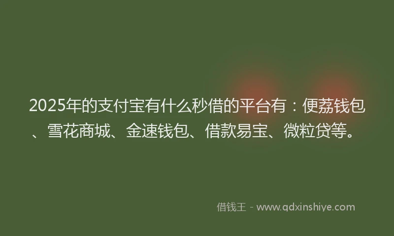 2025年的支付宝有什么秒借的平台有：便荔钱包、雪花商城、金速钱包、借款易宝、微粒贷等。