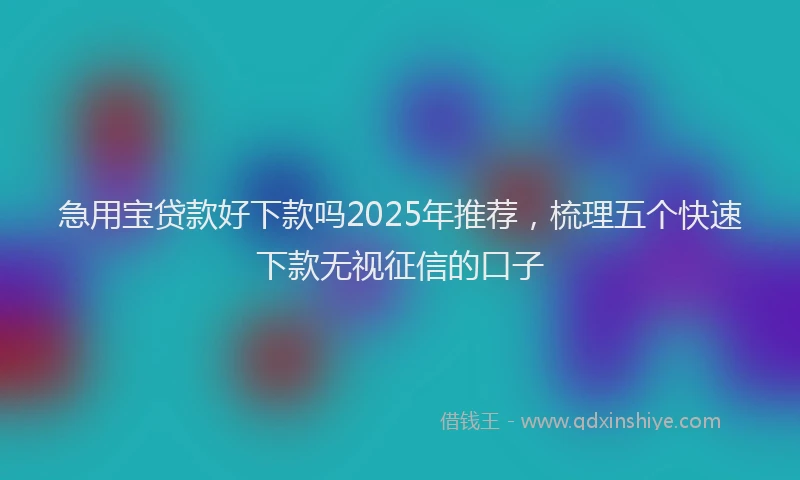急用宝贷款好下款吗2025年推荐，梳理五个快速下款无视征信的口子