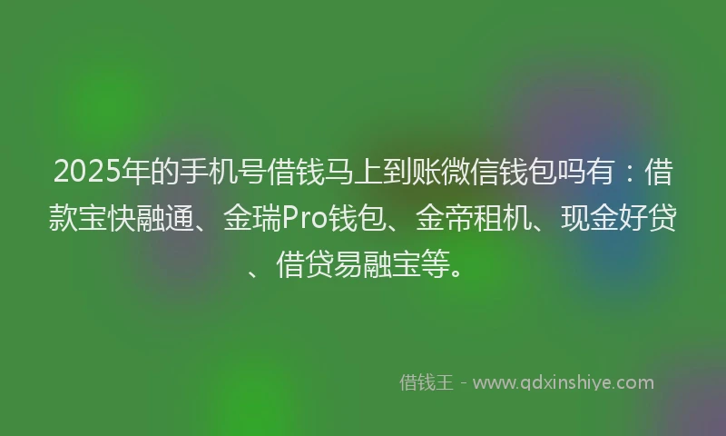 2025年的手机号借钱马上到账微信钱包吗有：借款宝快融通、金瑞Pro钱包、金帝租机、现金好贷、借贷易融宝等。