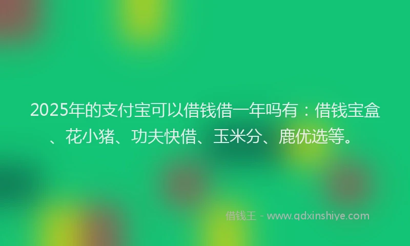2025年的支付宝可以借钱借一年吗有：借钱宝盒、花小猪、功夫快借、玉米分、鹿优选等。