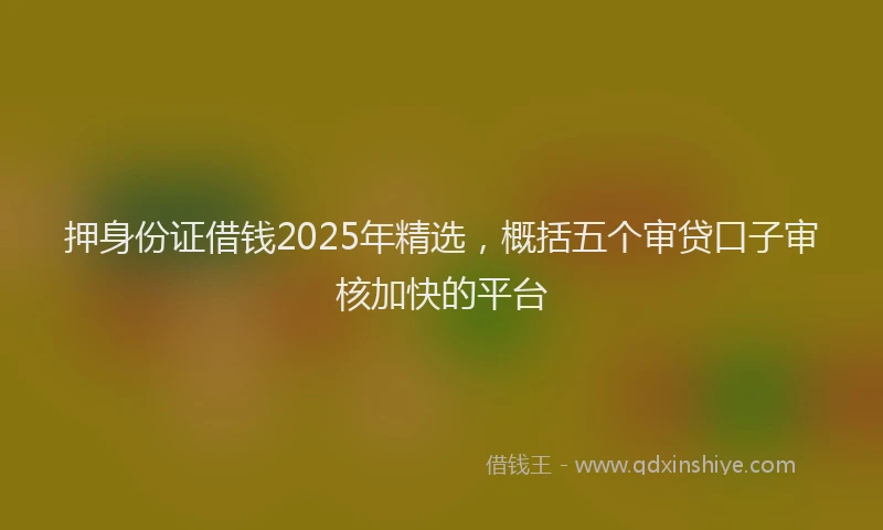 押身份证借钱2025年精选，概括五个审贷口子审核加快的平台