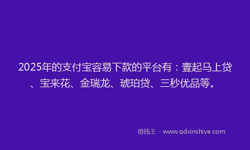2025年的支付宝容易下款的平台有：壹起马上贷、宝来花、金瑞龙、琥珀贷、三秒优品等。
