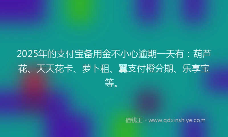 2025年的支付宝备用金不小心逾期一天有：葫芦花、天天花卡、萝卜租、翼支付橙分期、乐享宝等。