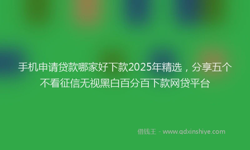 手机申请贷款哪家好下款2025年精选，分享五个不看征信无视黑白百分百下款网贷平台