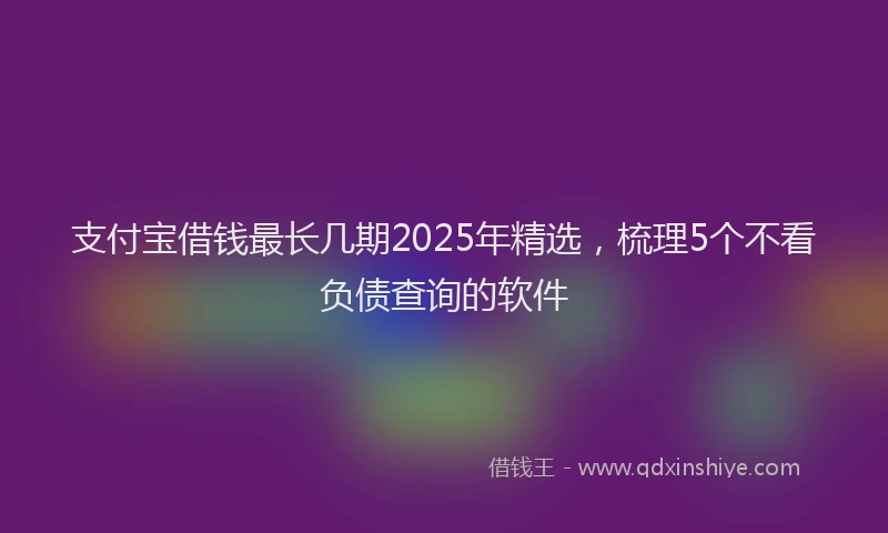 支付宝借钱最长几期2025年精选，梳理5个不看负债查询的软件