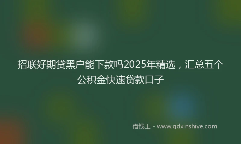 招联好期贷黑户能下款吗2025年精选，汇总五个公积金快速贷款口子