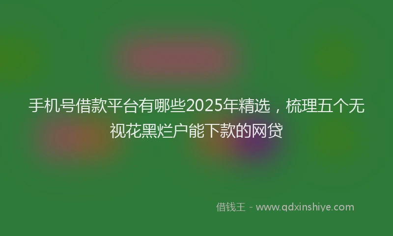 手机号借款平台有哪些2025年精选，梳理五个无视花黑烂户能下款的网贷