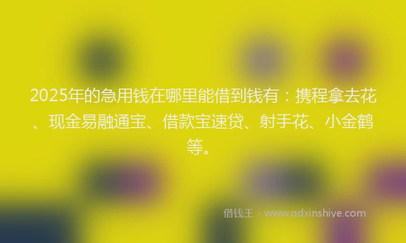 2025年的急用钱在哪里能借到钱有：携程拿去花、现金易融通宝、借款宝速贷、射手花、小金鹤等。