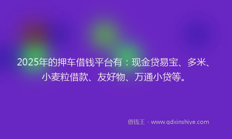 2025年的押车借钱平台有：现金贷易宝、多米、小麦粒借款、友好物、万通小贷等。