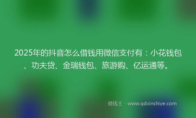 2025年的抖音怎么借钱用微信支付有：小花钱包、功夫贷、金瑞钱包、旅游购、亿运通等。
