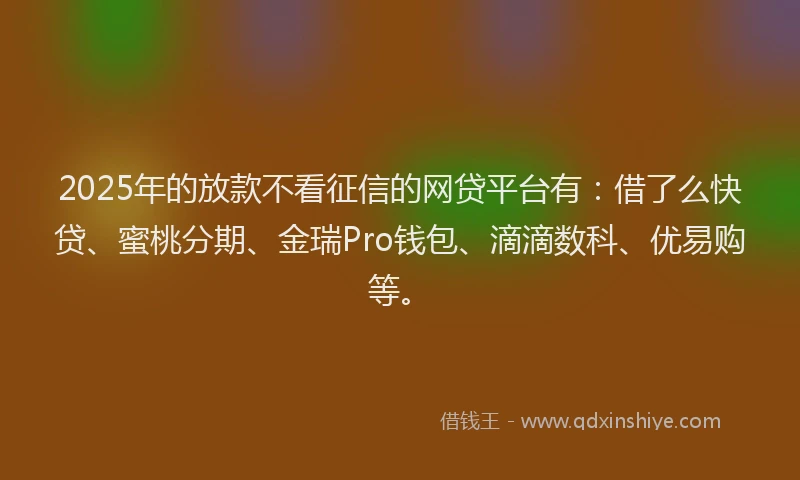 2025年的放款不看征信的网贷平台有：借了么快贷、蜜桃分期、金瑞Pro钱包、滴滴数科、优易购等。