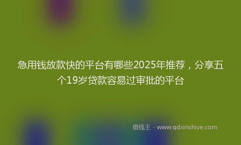 急用钱放款快的平台有哪些2025年推荐，分享五个19岁贷款容易过审批的平台