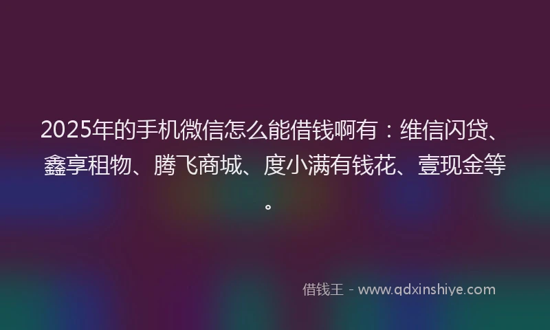 2025年的手机微信怎么能借钱啊有：维信闪贷、鑫享租物、腾飞商城、度小满有钱花、壹现金等。