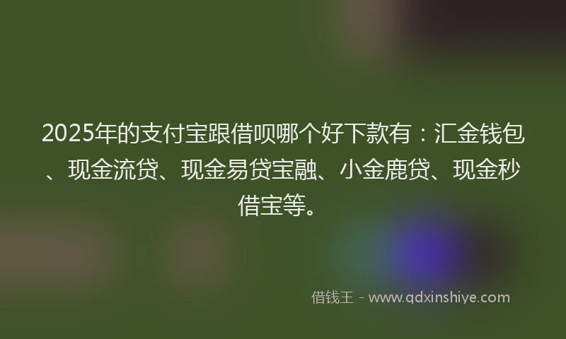 2025年的支付宝跟借呗哪个好下款有：汇金钱包、现金流贷、现金易贷宝融、小金鹿贷、现金秒借宝等。