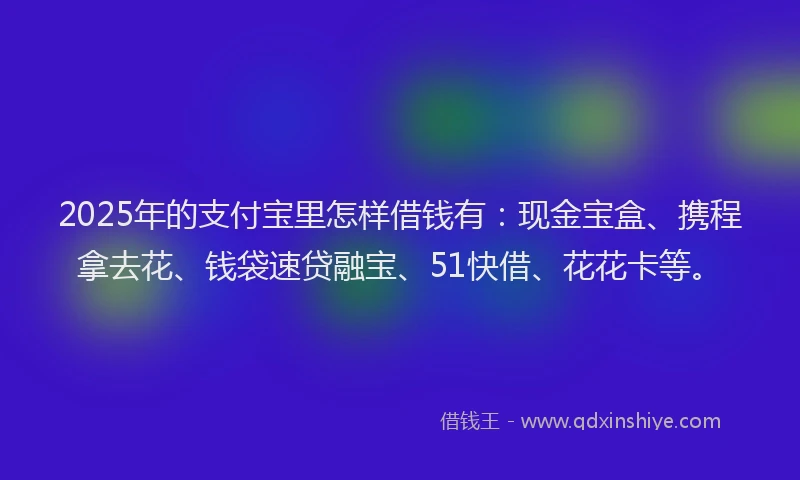 2025年的支付宝里怎样借钱有：现金宝盒、携程拿去花、钱袋速贷融宝、51快借、花花卡等。