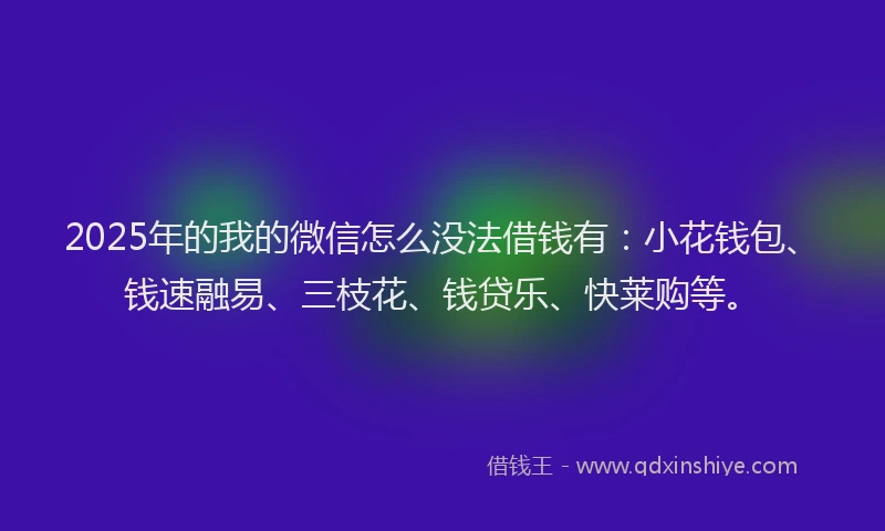 2025年的我的微信怎么没法借钱有：小花钱包、钱速融易、三枝花、钱贷乐、快莱购等。
