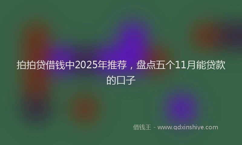 拍拍贷借钱中2025年推荐，盘点五个11月能贷款的口子