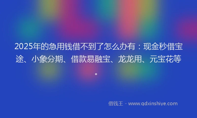 2025年的急用钱借不到了怎么办有：现金秒借宝途、小象分期、借款易融宝、龙龙用、元宝花等。