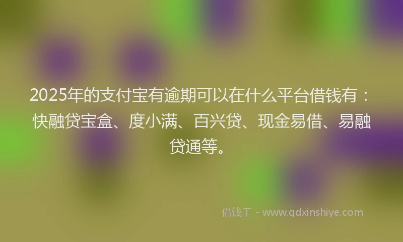 2025年的支付宝有逾期可以在什么平台借钱有：快融贷宝盒、度小满、百兴贷、现金易借、易融贷通等。