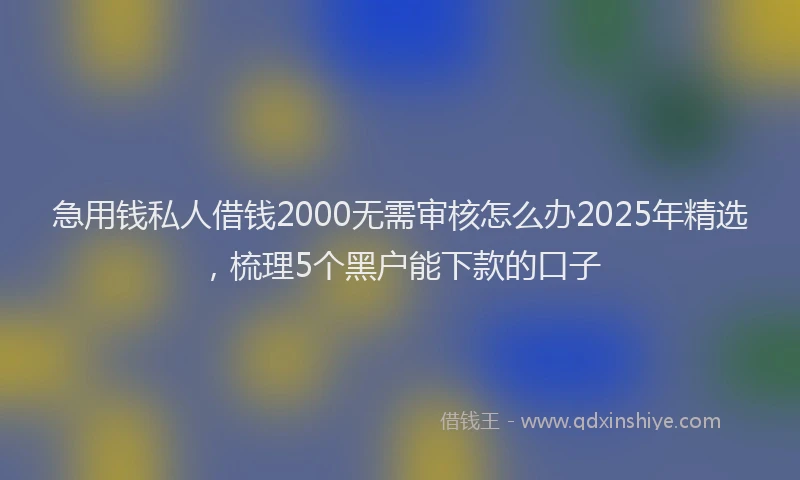 急用钱私人借钱2000无需审核怎么办2025年精选，梳理5个黑户能下款的口子