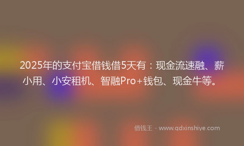 2025年的支付宝借钱借5天有：现金流速融、薪小用、小安租机、智融Pro+钱包、现金牛等。