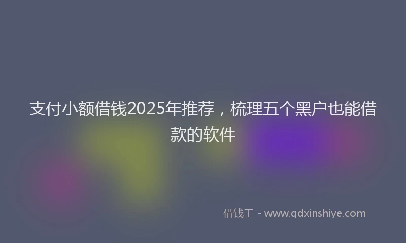 支付小额借钱2025年推荐，梳理五个黑户也能借款的软件