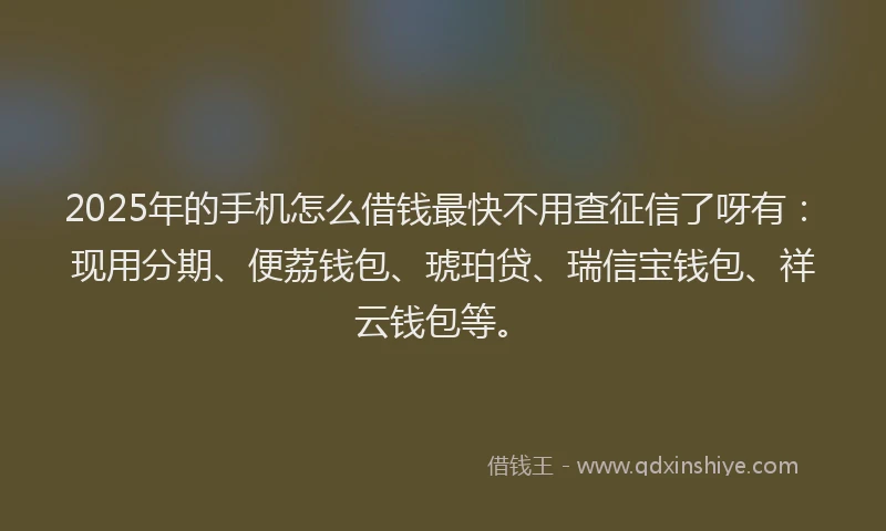 2025年的手机怎么借钱最快不用查征信了呀有：现用分期、便荔钱包、琥珀贷、瑞信宝钱包、祥云钱包等。