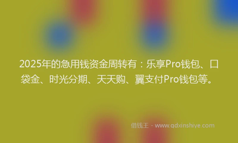 2025年的急用钱资金周转有：乐享Pro钱包、口袋金、时光分期、天天购、翼支付Pro钱包等。