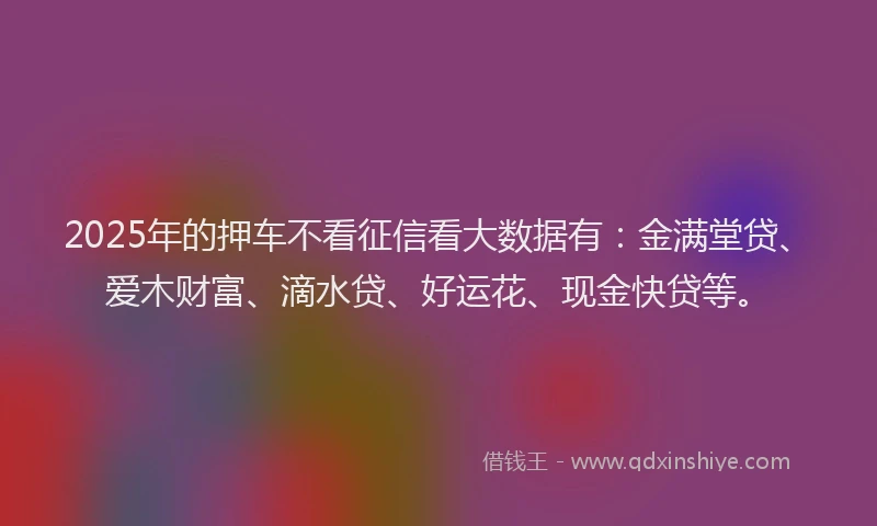 2025年的押车不看征信看大数据有：金满堂贷、爱木财富、滴水贷、好运花、现金快贷等。