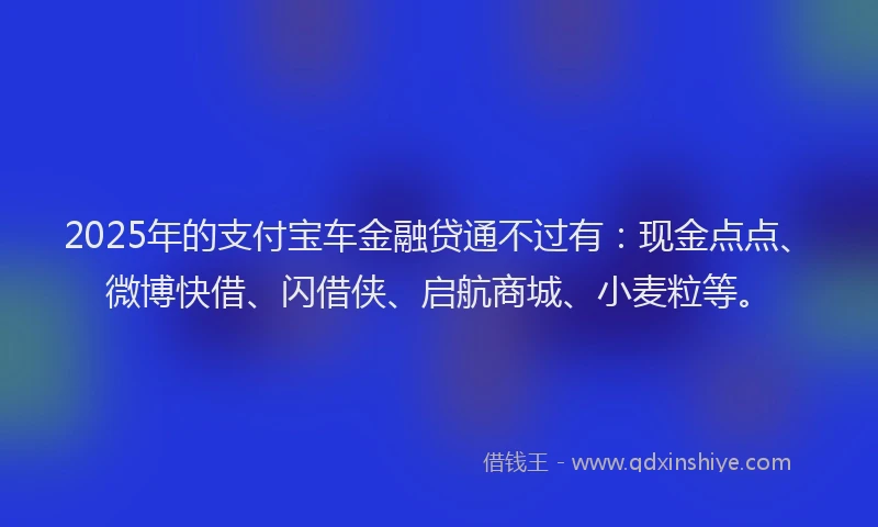 2025年的支付宝车金融贷通不过有：现金点点、微博快借、闪借侠、启航商城、小麦粒等。
