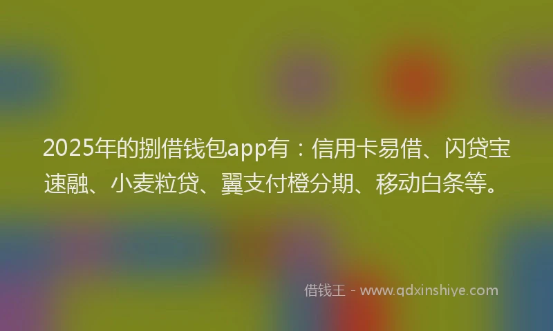 2025年的捌借钱包app有：信用卡易借、闪贷宝速融、小麦粒贷、翼支付橙分期、移动白条等。