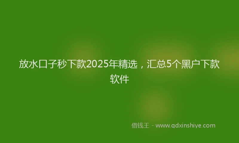 放水口子秒下款2025年精选，汇总5个黑户下款软件