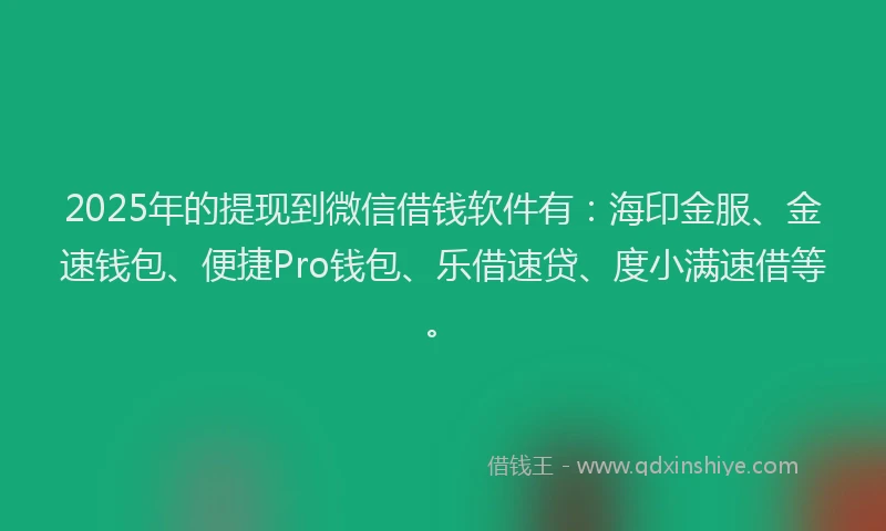 2025年的提现到微信借钱软件有：海印金服、金速钱包、便捷Pro钱包、乐借速贷、度小满速借等。