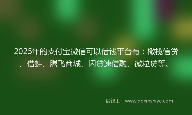 2025年的支付宝微信可以借钱平台有：橄榄信贷、借蛙、腾飞商城、闪贷速借融、微粒贷等。