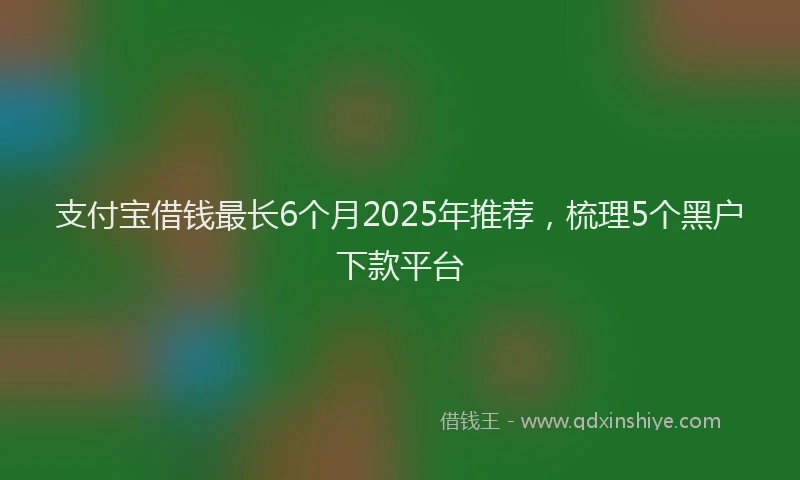支付宝借钱最长6个月2025年推荐，梳理5个黑户下款平台