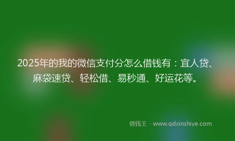 2025年的我的微信支付分怎么借钱有：宜人贷、麻袋速贷、轻松借、易秒通、好运花等。