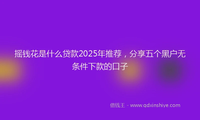 摇钱花是什么贷款2025年推荐，分享五个黑户无条件下款的口子