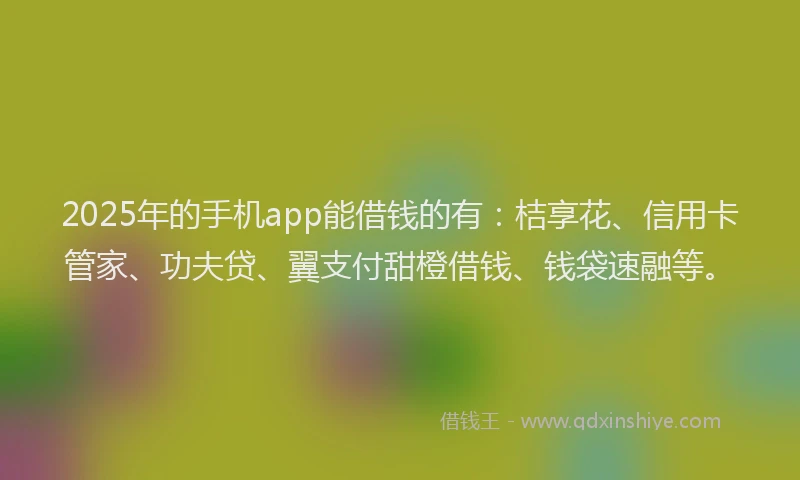 2025年的手机app能借钱的有：桔享花、信用卡管家、功夫贷、翼支付甜橙借钱、钱袋速融等。
