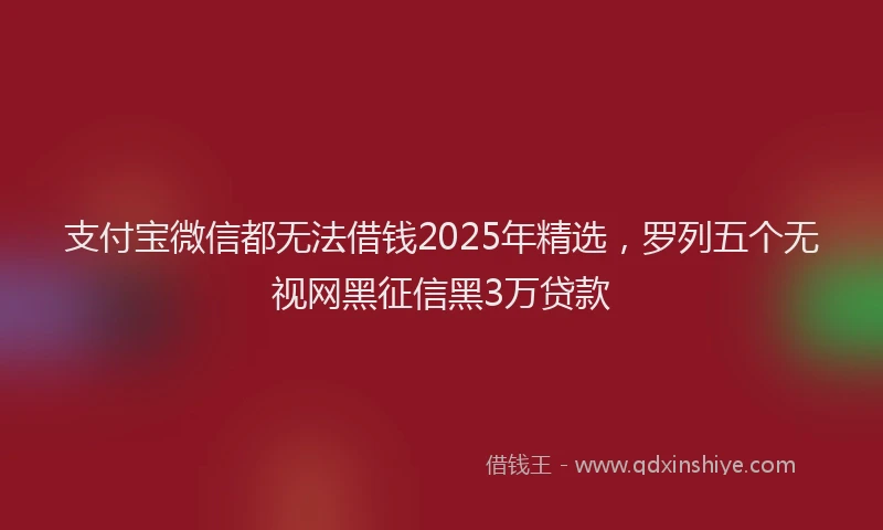 支付宝微信都无法借钱2025年精选，罗列五个无视网黑征信黑3万贷款