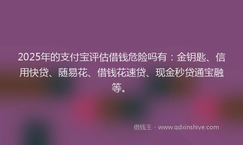 2025年的支付宝评估借钱危险吗有：金钥匙、信用快贷、随易花、借钱花速贷、现金秒贷通宝融等。