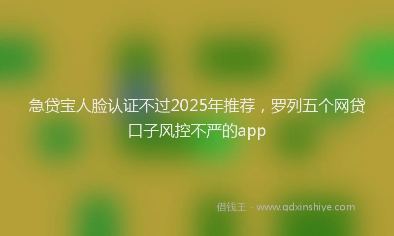 急贷宝人脸认证不过2025年推荐，罗列五个网贷口子风控不严的app
