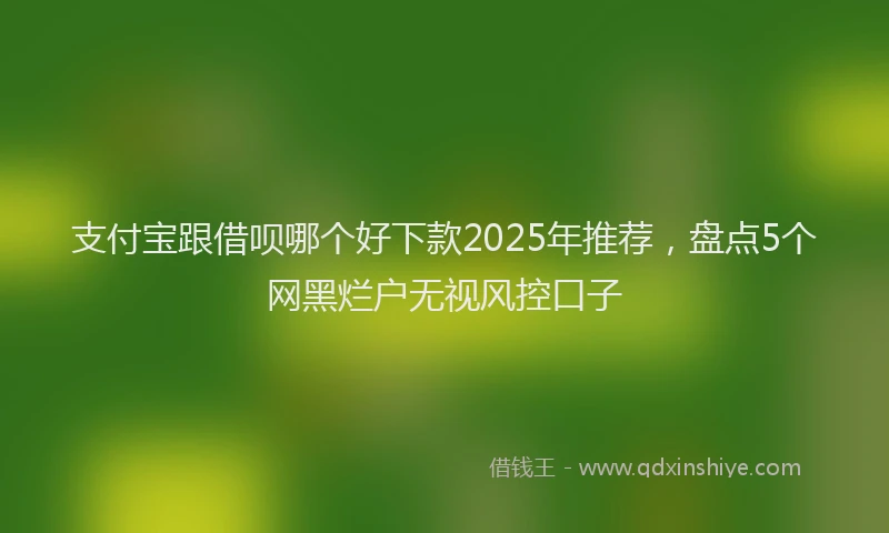 支付宝跟借呗哪个好下款2025年推荐，盘点5个网黑烂户无视风控口子