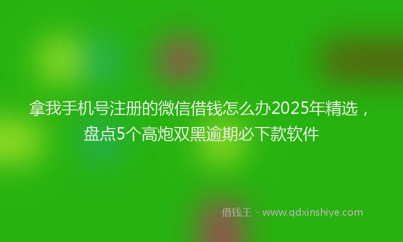 拿我手机号注册的微信借钱怎么办2025年精选，盘点5个高炮双黑逾期必下款软件